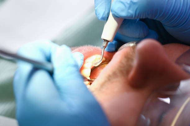 Best Cosmetic Emergency Dentistry in Lyford, TX